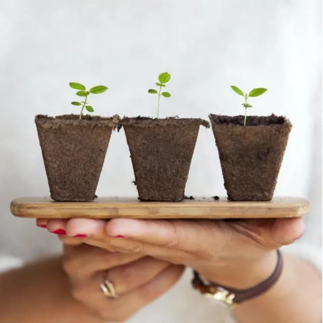 Stewardship Always Matters: 3 reasons why ESG is here to stay