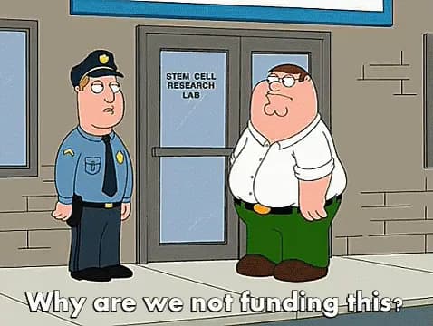 Invest in startups👼🏻
