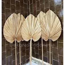 41. Daun Palem Emas
